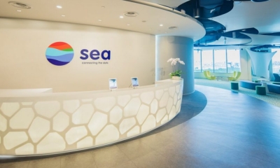 Why is Sea Group in choppy waters?